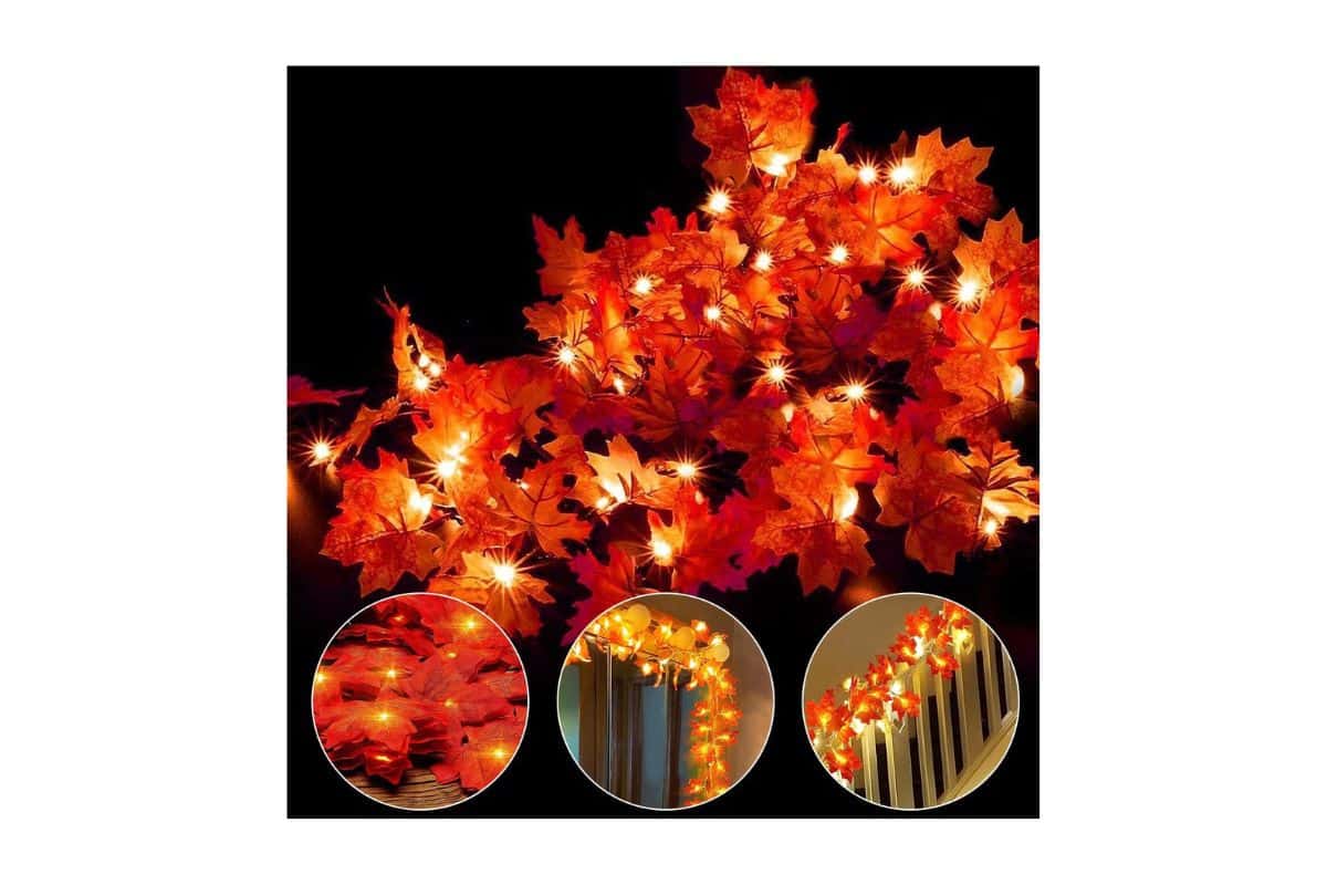 catena luminosa Ainkedin