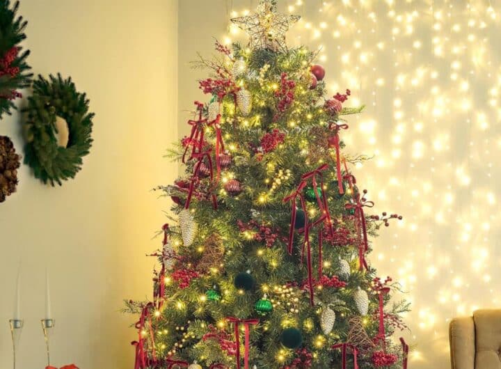 come scegliere l'albero di Natale? Ecco cinque soluzioni per tutte le esigenze