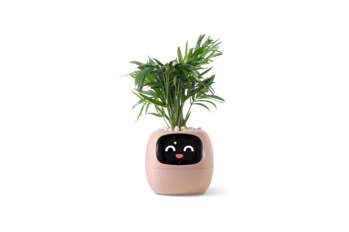 PLANTSIO vaso smart